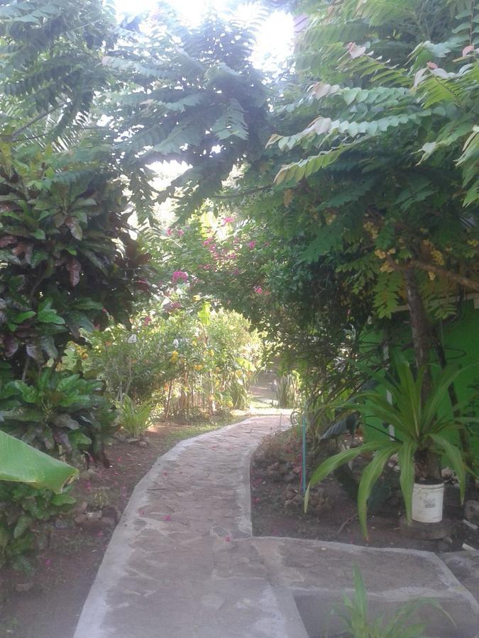 Windy View Guest House Archibolds Exterior foto